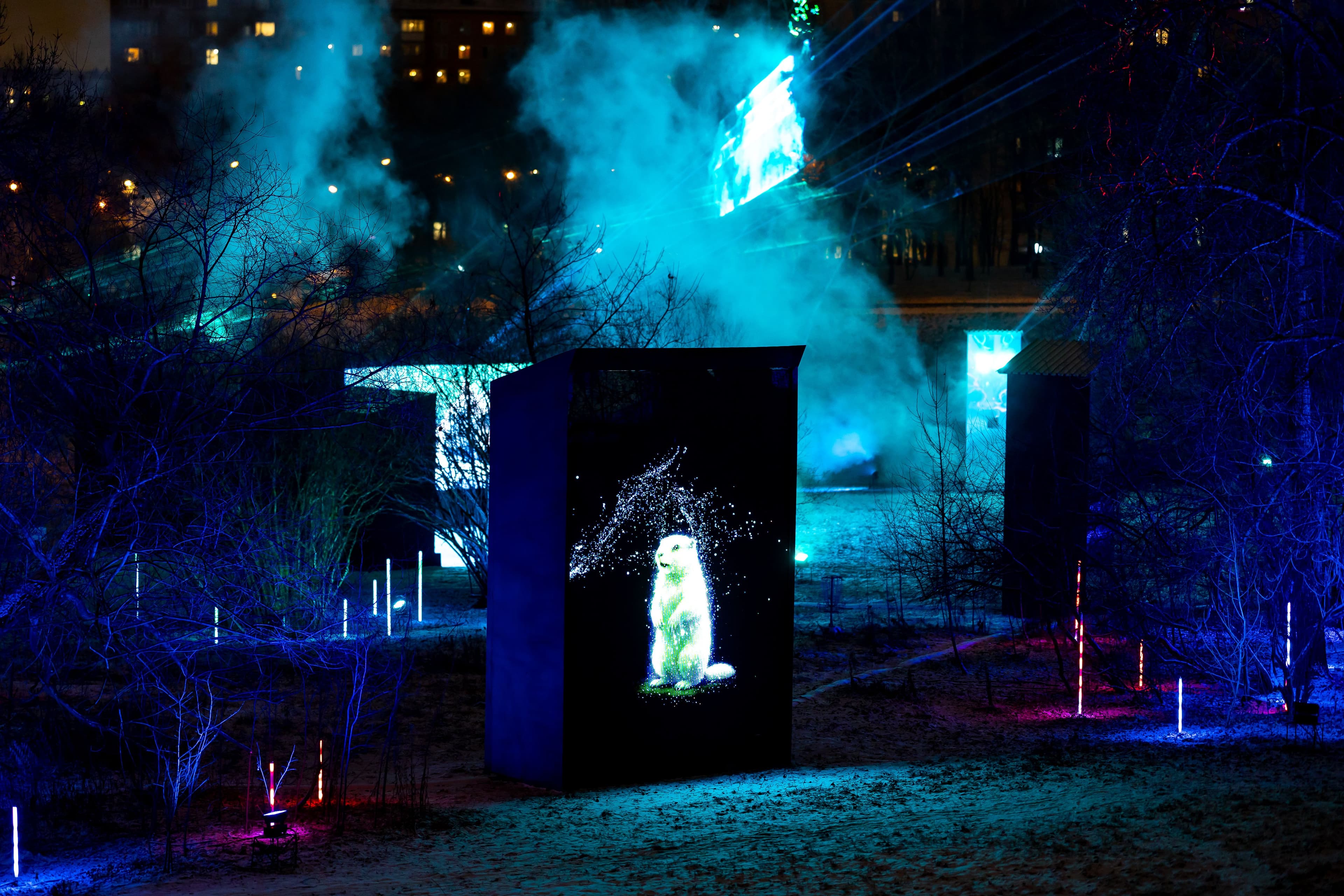 картинка из сетки