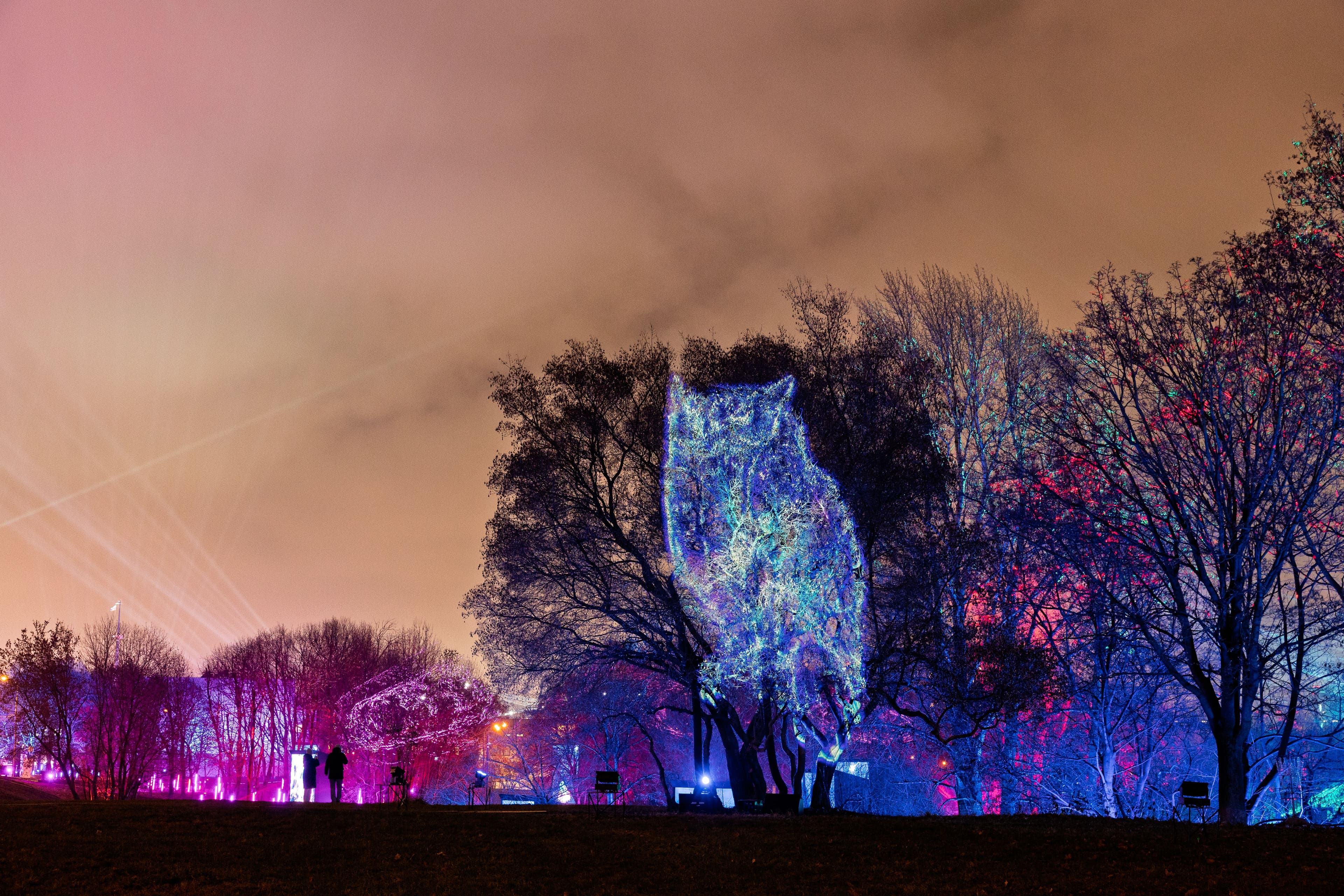 картинка из сетки